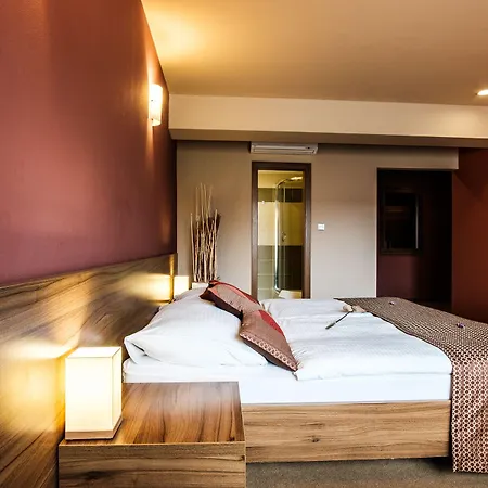 Comfort With Free Wellness And Fitness Centrum Nitra