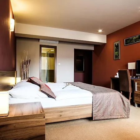 Comfort With Free Wellness And Fitness Centrum