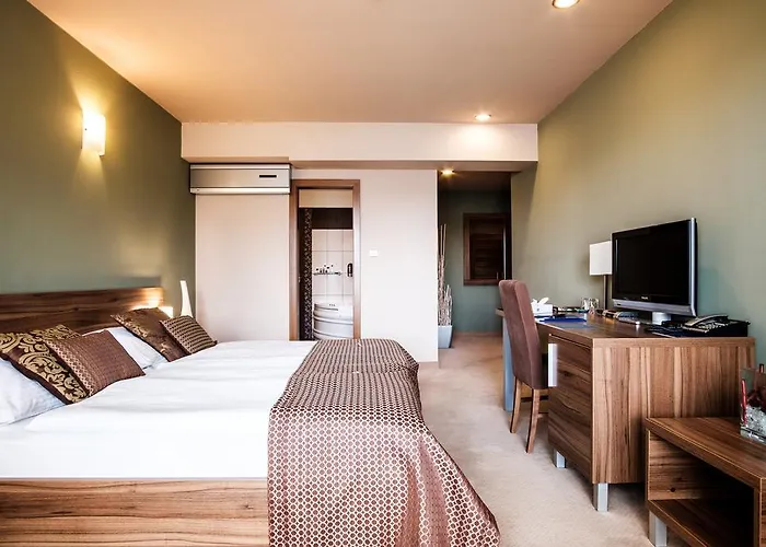 فندق Comfort With Free Wellness And Fitness Centrum نيترا